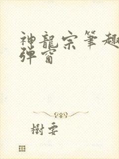 神龙宗笔趣阁无弹窗