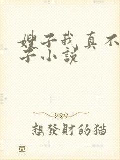 嫂子我真不是傻子小说