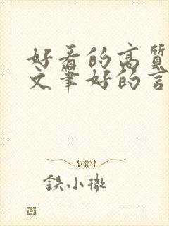 好看的高质量的文笔好的言情