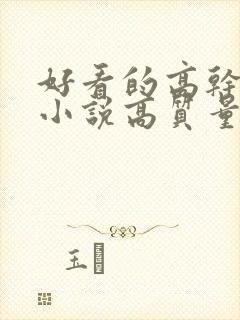 好看的高干言情小说高质量文笔好