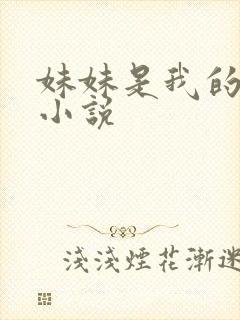 妹妹是我的主人小说