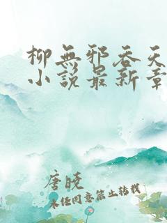 柳无邪吞天神鼎小说最新章节更新