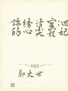 锦绣清宫:四爷的心尖宠妃 雪中回眸