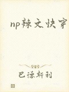 np辣文快穿