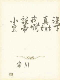 小说我真没想当皇帝啊txt下载