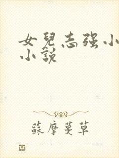 女儿志强小可 小说