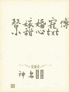 替嫁婚宠傅少的小甜心txt