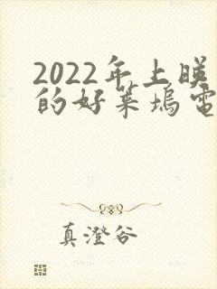 2022年上映的好莱坞电影