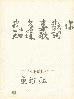 我多喜欢你你会知道歌词