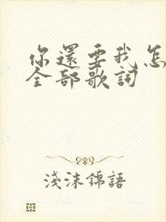 你还要我怎样的全部歌词