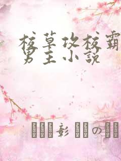 校草攻校霸受双男主小说