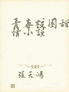 青春校园甜宠言情小说