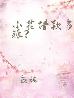 小花借款多久到账?