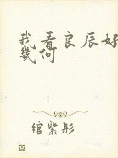 我看良辰好景知几何