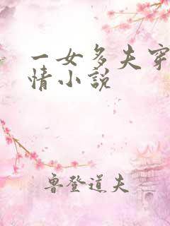一女多夫穿越言情小说