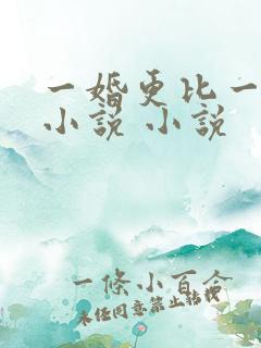 一婚更比一婚高小说 小说
