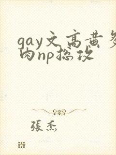 gay文高黄多肉np总攻