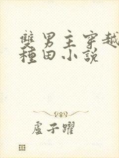 双男主穿越古代种田小说