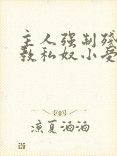 主人强制残忍调教私奴小受小说