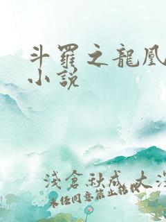 斗罗之龙凰传说小说