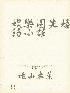 娱乐圈先婚后爱的小说