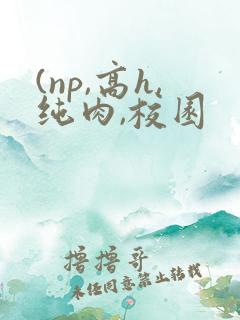 (np,高h,纯肉,校园