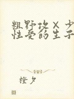 粗野攻×少爷双性受的生子文