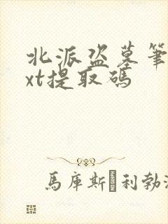 北派盗墓笔记txt提取码