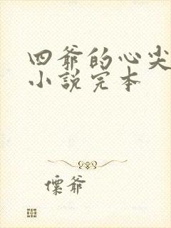 四爷的心尖宠妃小说完本