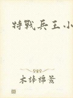 特战兵王小说版