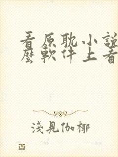 看原耽小说在什么软件上看