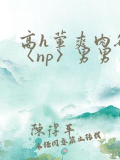 高h荤爽肉欲文〈np〉男男