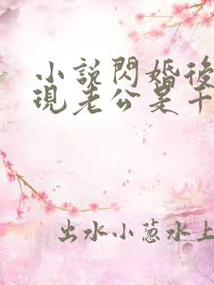 小说闪婚后,发现老公是千亿首富免费