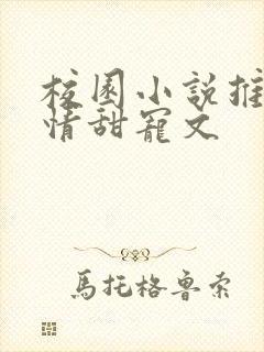 校园小说推荐言情甜宠文