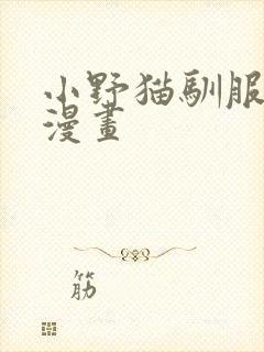 小野猫驯服手册漫画