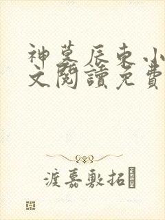 神墓辰东小说全文阅读免费