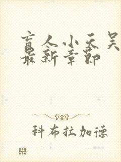 盲人小天吴阿姨最新章节