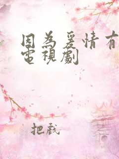 因为爰情有幸福电视剧