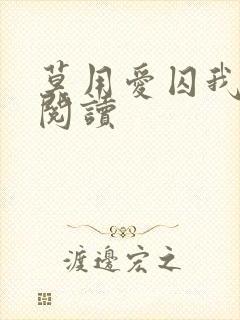 莫用爱囚我小说阅读