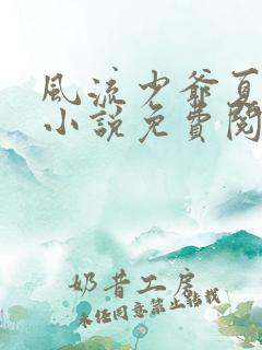 风流少爷夏丰银小说免费阅读