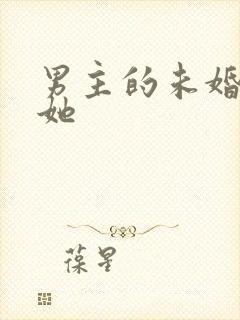 男主的未婚妻是她