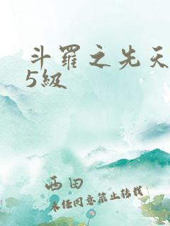 斗罗之先天魂力5级