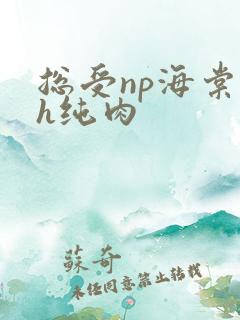 总受np海棠高h纯肉