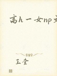 高h一女np文