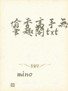 偷香高手无删减笔趣阁txt