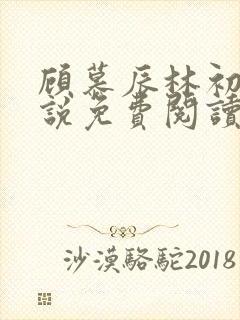 顾慕辰林初荔小说免费阅读最新章节