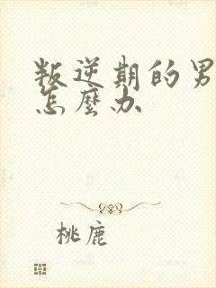 叛逆期的男孩子怎么办