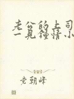 老公的上司对我一见钟情小说