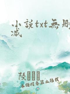 小说txt无删减