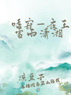 嗜宠—夜王狂妃 处雨潇湘